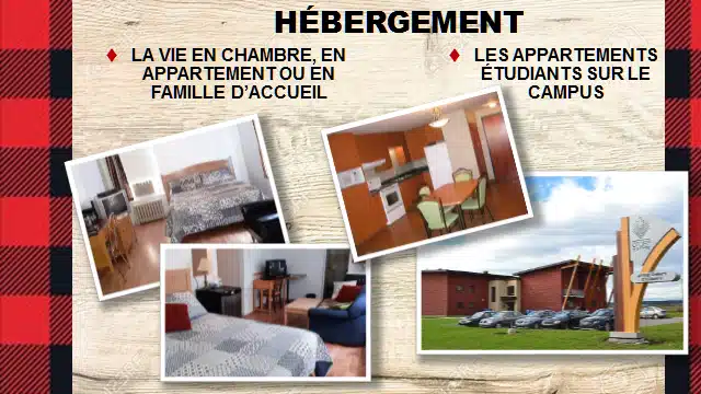 CÉGEP 5 image 12