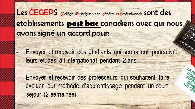 CÉGEP 4 image 7