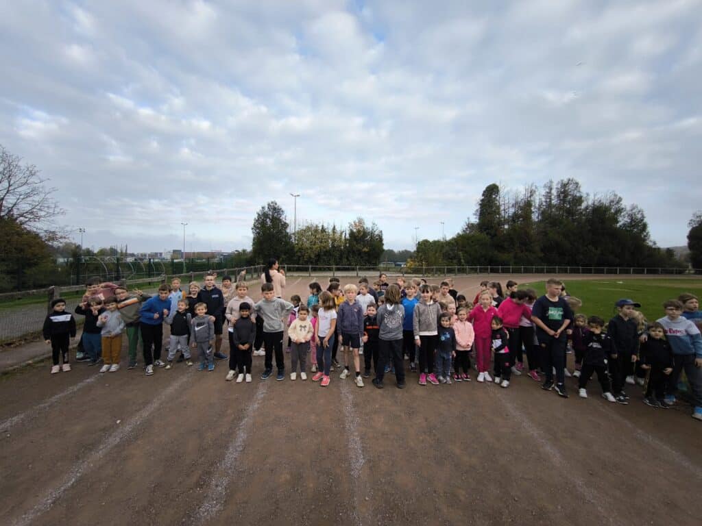 565183655 1345218694281092 4671341728978208643 n