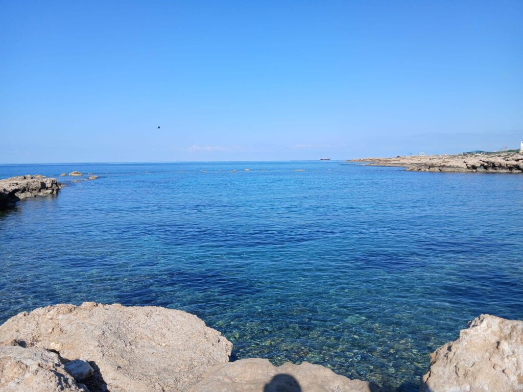 647404873 1465740328895594 4869872929858459547 n