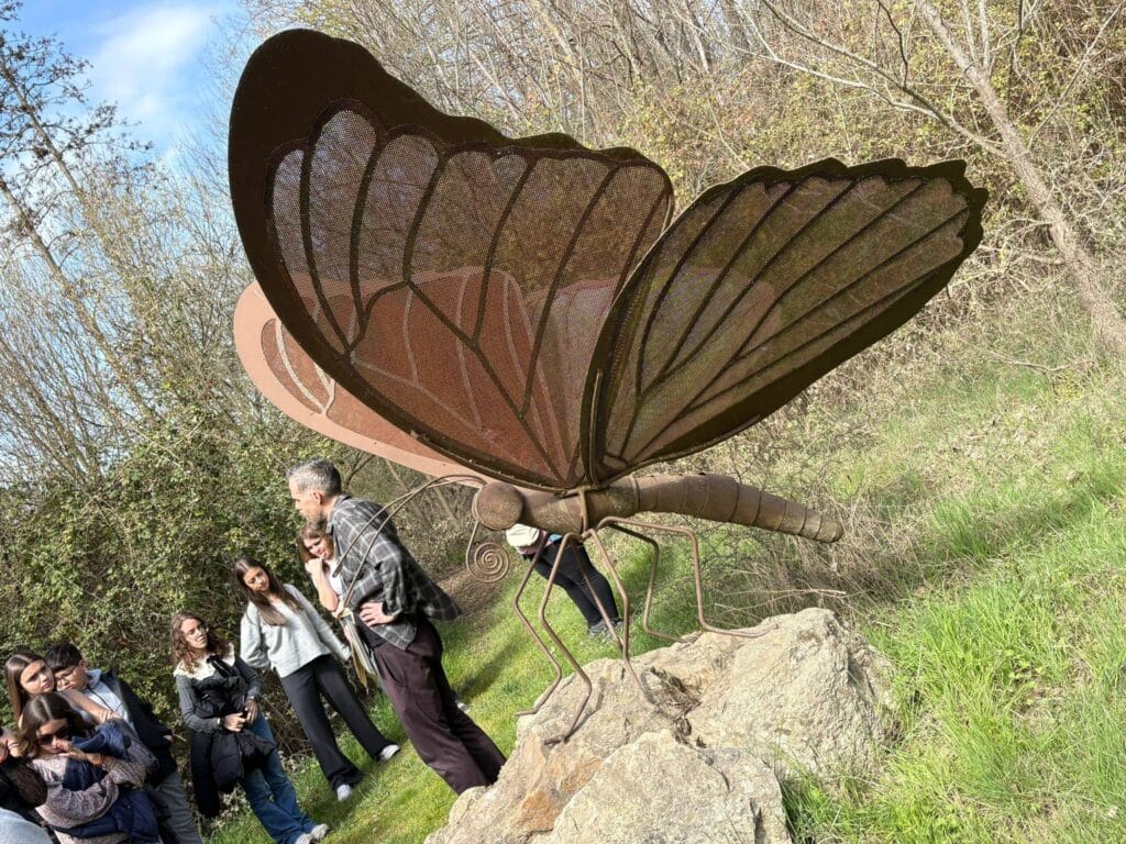 653055001 1478418534294440 5960253165105870284 n