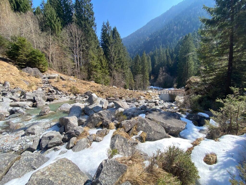 653146320 1479204630882497 5354431797838307902 n