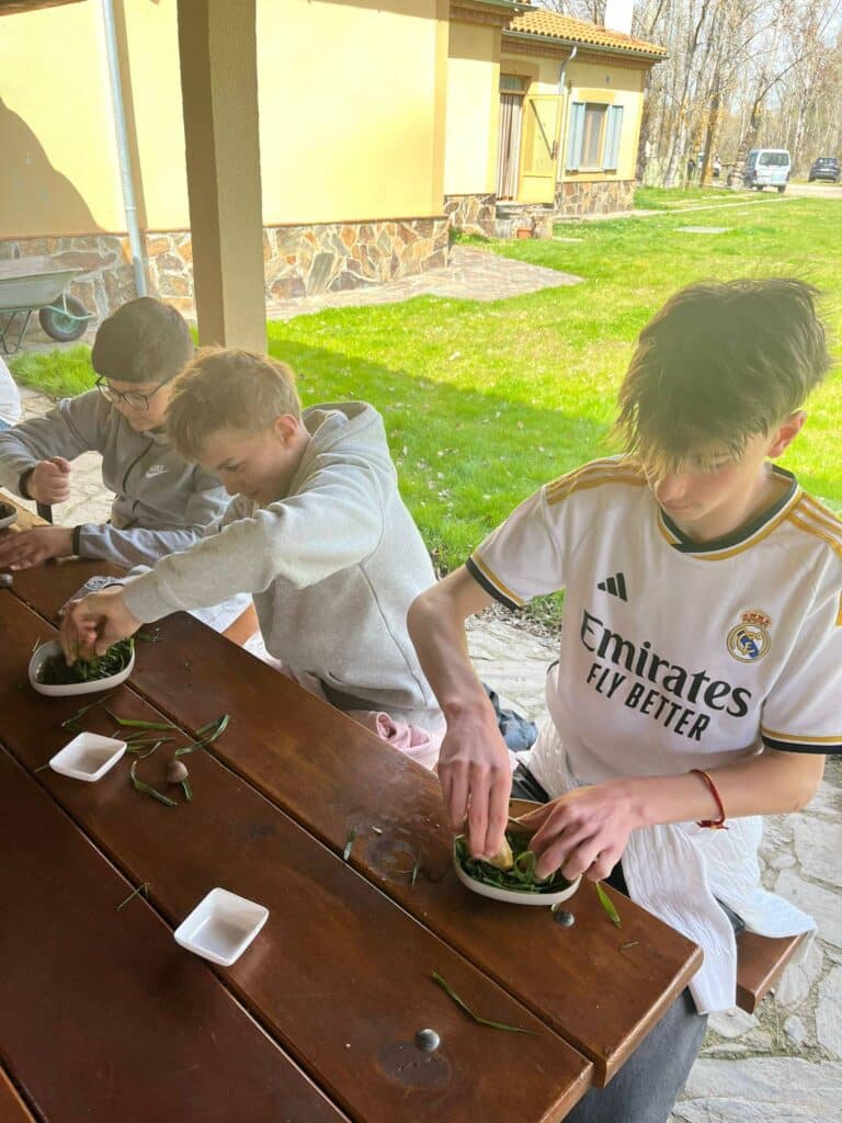 653309502 1478418604294433 227987425789762264 n