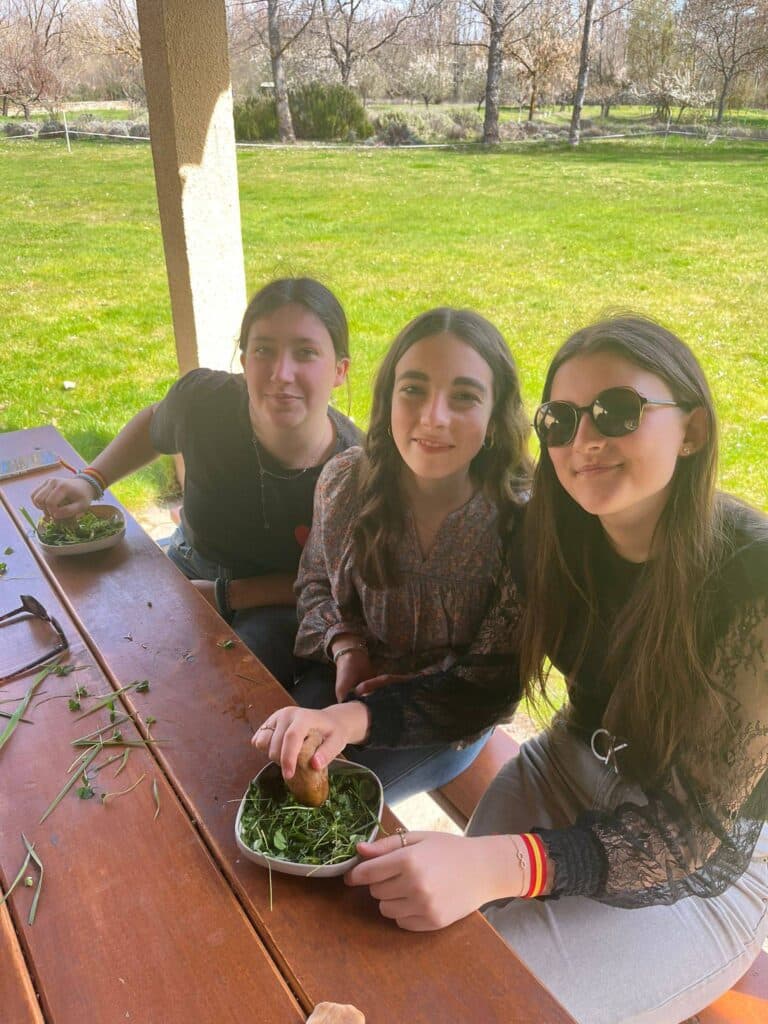 653704283 1478419247627702 4886722356287989567 n