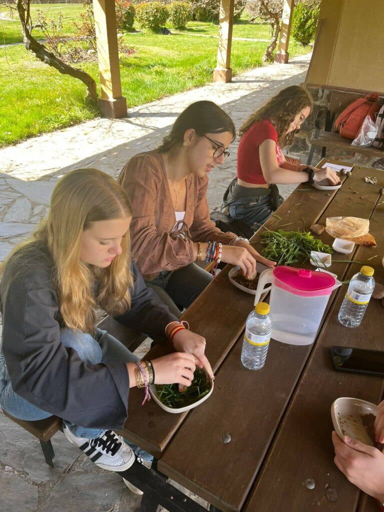 653704728 1478418650961095 5407433707473933616 n