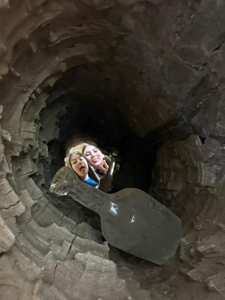 654225031 1479252310877729 5251103306608537384 n