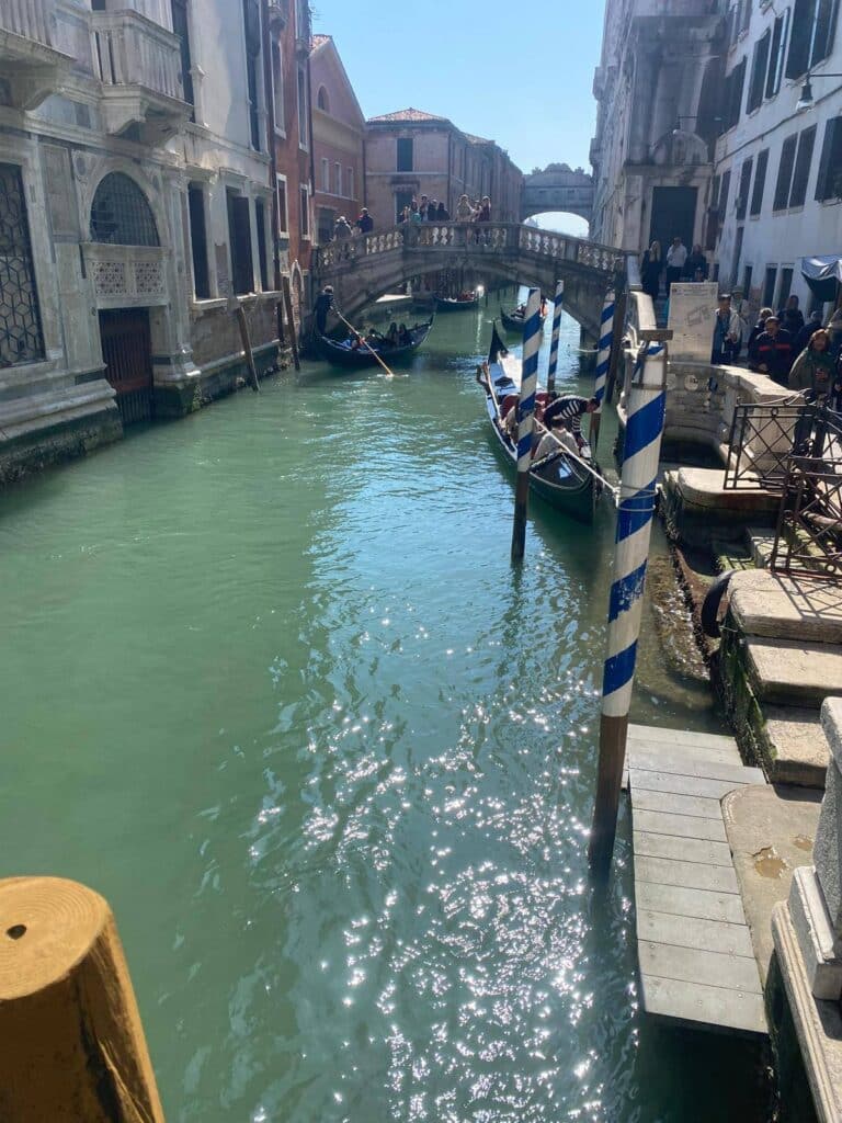 657036106 1482344307235196 7009046015217774874 n