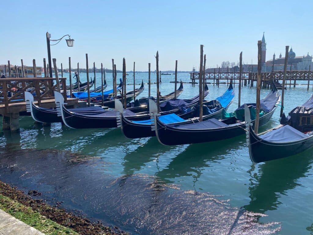 657074654 1482344183901875 7096144874261477275 n